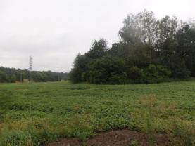 Prodej, pozemek, 2000 m2, Paskov