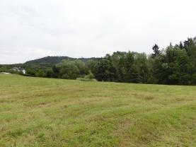 Prodej, stavební pozemek, 19105 m2, Ludvíkovice