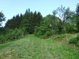 Prodej, louka, 1378 m2, Ratiboř