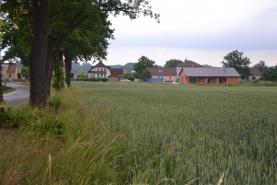 Prodej, stavební pozemek, 6600 m2, Čejetice