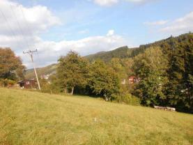 Prodej, louka, 5500 m2, Vsetín- Jasénka