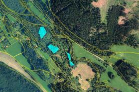 Prodej, les, 7570 m2, Široká Niva-Skrbovice