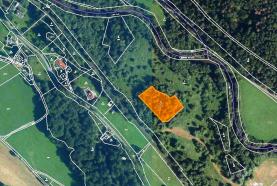 Prodej, les, 2982 m2, Široká Niva-Skrbovice