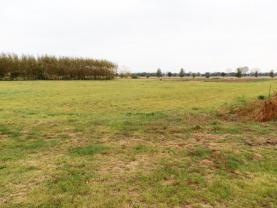 Prodej, 2 stavební pozemky, 1652 m2, Prostějov, Hrubčice