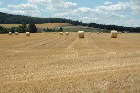 Prodej, pole, 128970 m2, Studénka, Butovice