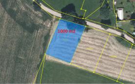 Prodej, zahrada 1000 m2, Matějovec