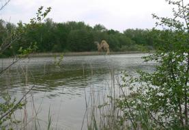 Prodej, rybník, 30307 m2, Uhelná Příbram, Chotěboř