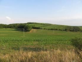 Prodej, vinice, 13475 m2, Brod nad Dyjí