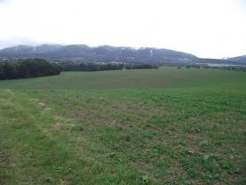 Prodej, pozemek, 37438 m2, Loukov