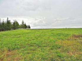Prodej, stavební pozemek, 3719 m2, Plazy