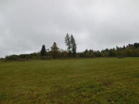 Prodej, pozemek, 6599 m2, Černá v Pošumaví