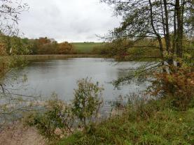 Prodej, vodní plocha 14128 m2, Třebešice, pozemky 1631 m2