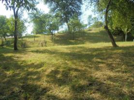 Prodej, pozemek, 3921 m2, Šarovy