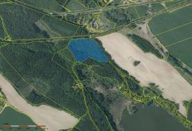 Prodej, les, 25332 m2, Holany