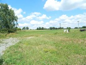 Prodej, stavební pozemek 3 700 m2, Moraveč, okr. Pelhřimov