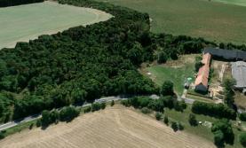 Prodej, ovocný sad, 8000 m2, Libáň