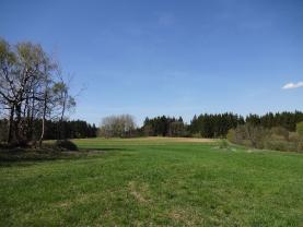 Prodej, louky, 15251 m2, Bělá u Horní Cerekve