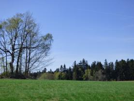 Prodej, pole, 15251 m2, Bělá u Horní Cerekve