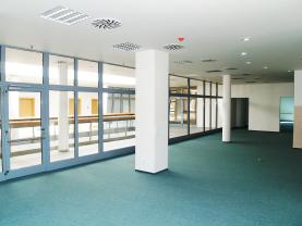 Pronájem, Obchod a služby, Jeseník, Palackého
