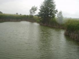 Prodej, pozemek, vodní plocha, 4111 m2, Skršice