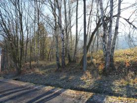Prodej, pozemek, 1809 m2, Jílové, okr. Děčín