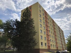 Prodej, 1+kk, 20 m2, Plzeň, ul. Popelnicová