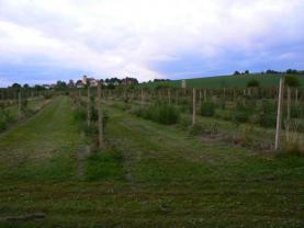 Prodej, ovocný sad, 12933 m2, Troubelice