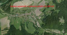 Prodej, louka, 16294 m2, Pitín