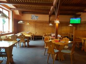 Prodej, restaurace, 250 m2, Opava - Předměstí