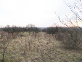 Prodej, ovocný sad, 7220 m2, Židlochovice