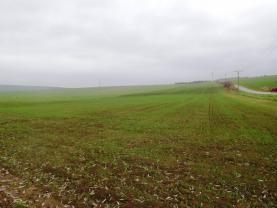 Prodej, orná půda, 15641 m2, Dambořice