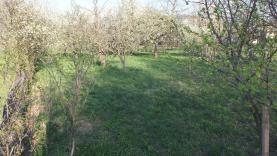 Prodej, zahrada, 1402 m2, Supíkovice