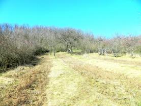 Prodej, zahrada, 3900 m2, Dolní Kounice, Brno - venkov