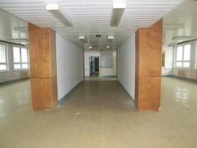 Pronájem, komernčí prostory, 571 m2, Brno - Lesná