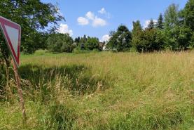 Prodej, pozemek-louky, 1108 m2, Nová Ves v Horách-Mikulovice