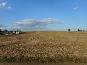 Prodej, pozemek, 884 m2, Křenovice