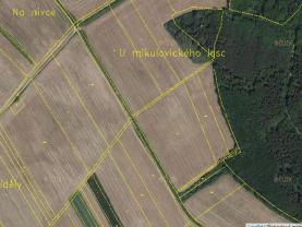 Prodej, pole, 8314,5 m2, Mikulovice