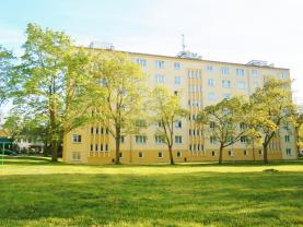 Prodej, byt 2+1, 56 m2, Ostrov, ul. Májová