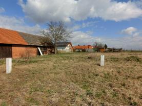 Prodej, pozemek, 665 m2, Olešnice