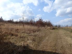 Pronájem, ovocný sad, 3266 m2, Roudnice nad Labem