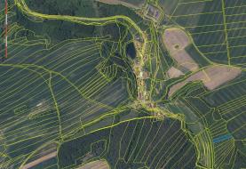 Prodej, les, 8208 m2, Letovice - Slatinka