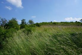 Prodej, pozemek, 5749 m2, Chrudim - Sobětuchy