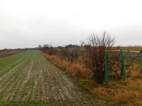 Prodej, vinice, 1189 m2, Opatovice