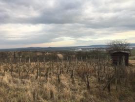 Prodej, vinice, 804 m2, Hustopeče