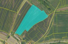 Prodej, podíl 1/4 pozemek 41281 m2 , Vysoké Mýto