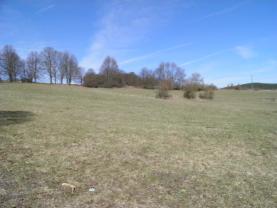 Prodej, stavební pozemek, 11401 m2, Tachov