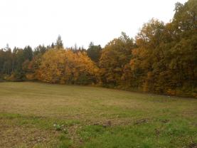 Prodej, les, 28505 m2, Soběšovice