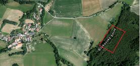Prodej, les, 4481 m2, Blehov