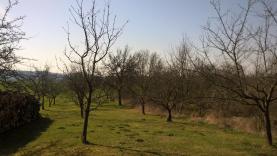 Prodej, zahrada, 753 m2, Svitávka, Blansko