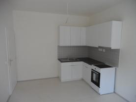 Pronájem, byt 1+1, 57 m2, Brno, ul. Merhautova